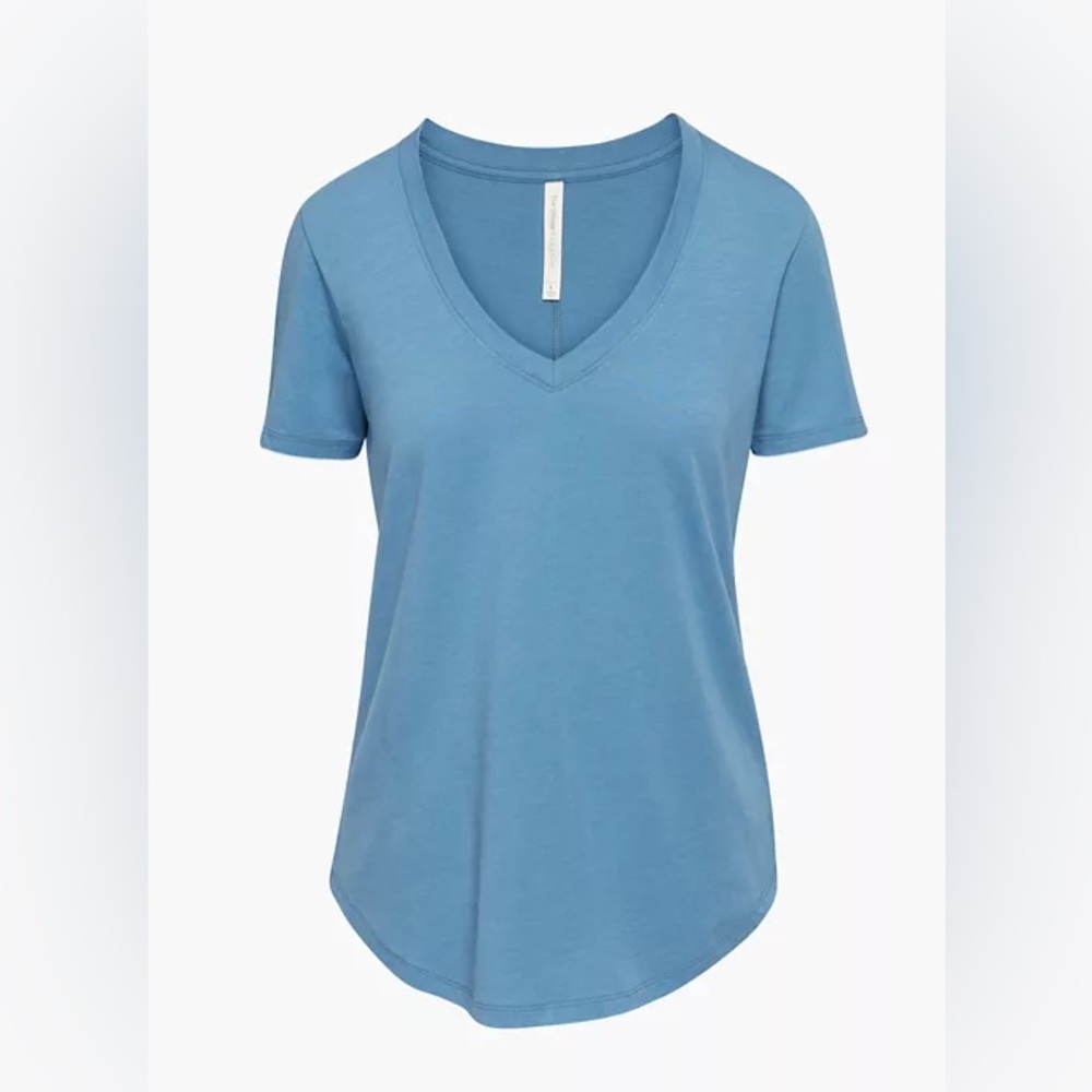 The Group by Babaton FOUNDATION V-NECK T-SHIRT